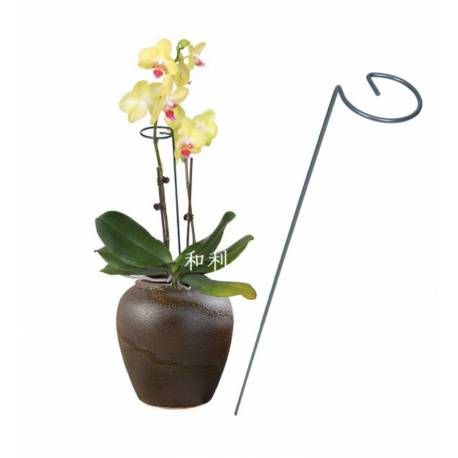 Podpora Do Roślin 40 Cm Ros05Wz3