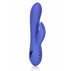 Beverly Hills Bunny Purple