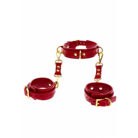 D-Ring Collar And Wrist Cuffs Red