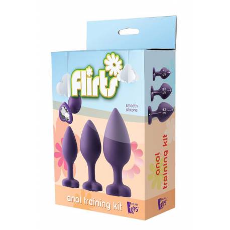 Flirts Anal Training Kit Gem Stone Purple