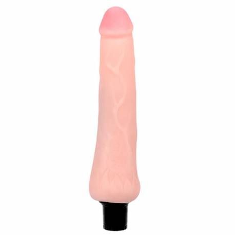 Baile - The Realistic Coock Vibrating
